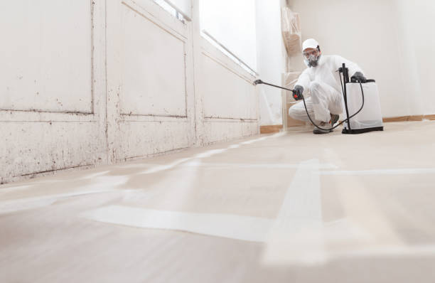 24/7 Emergency Mold Inspection experts in Newton, TX